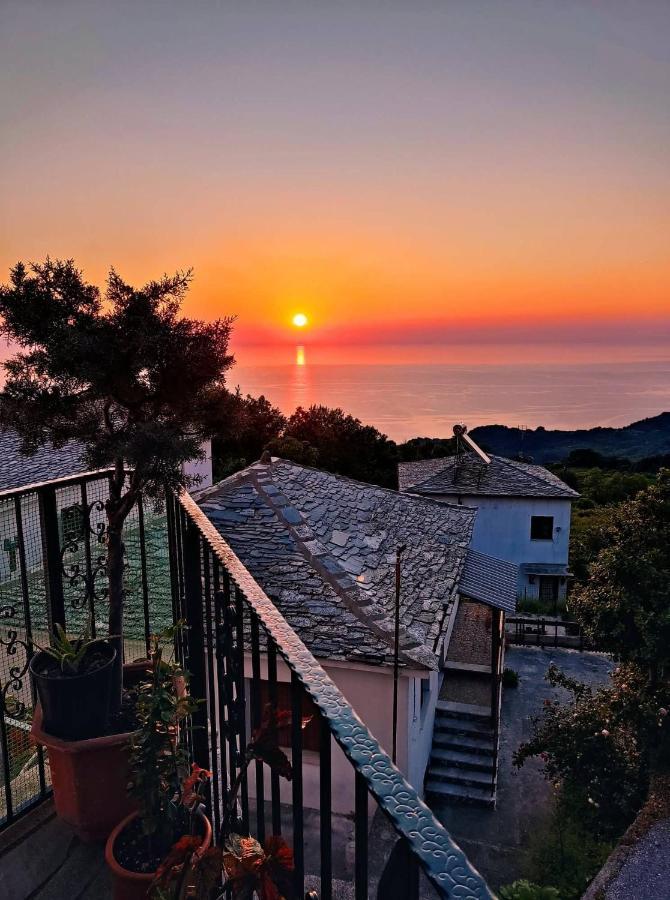 Guesthouse Papagiannopoulou Zagora Extérieur photo