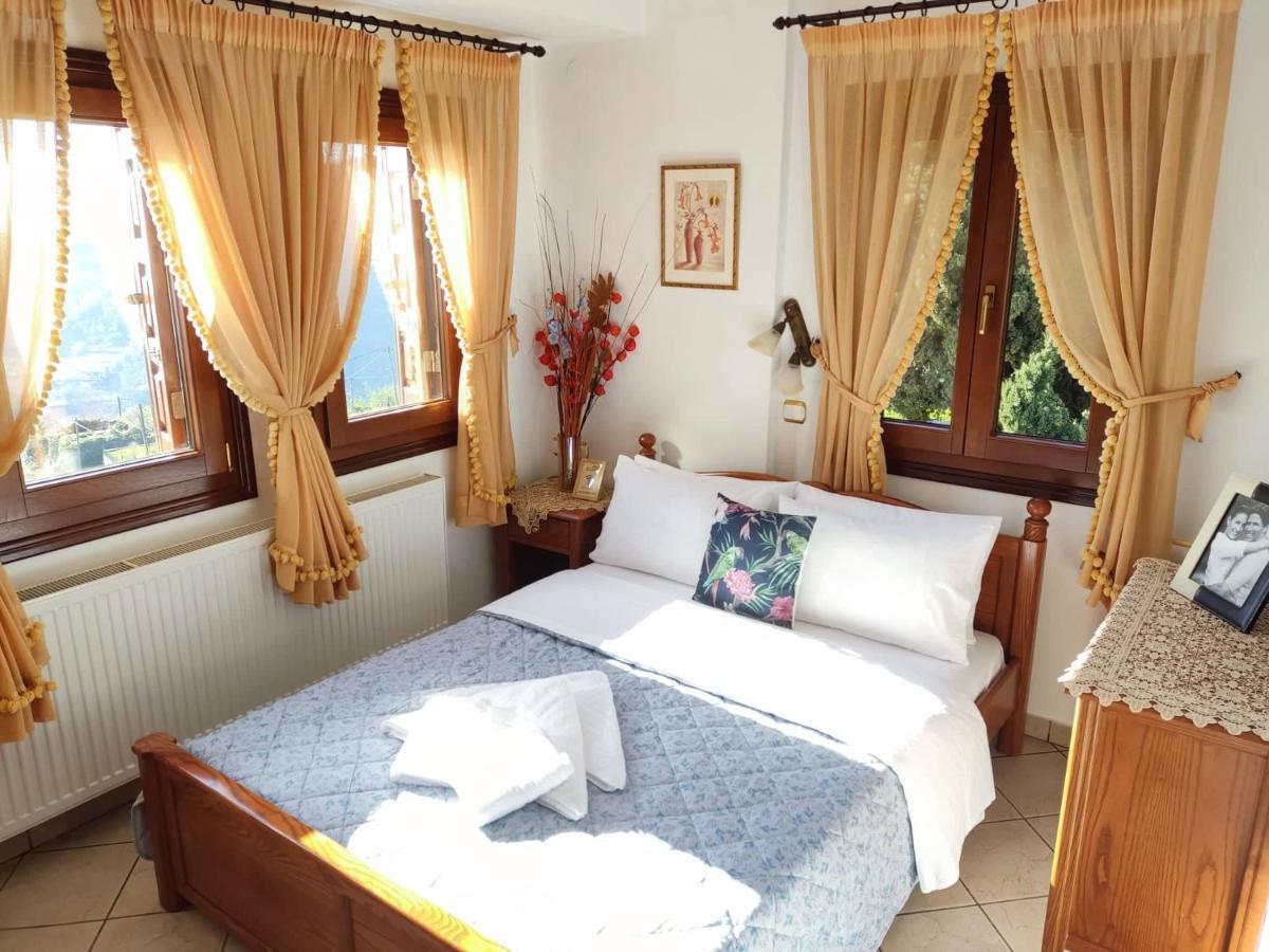 Guesthouse Papagiannopoulou Zagora Extérieur photo