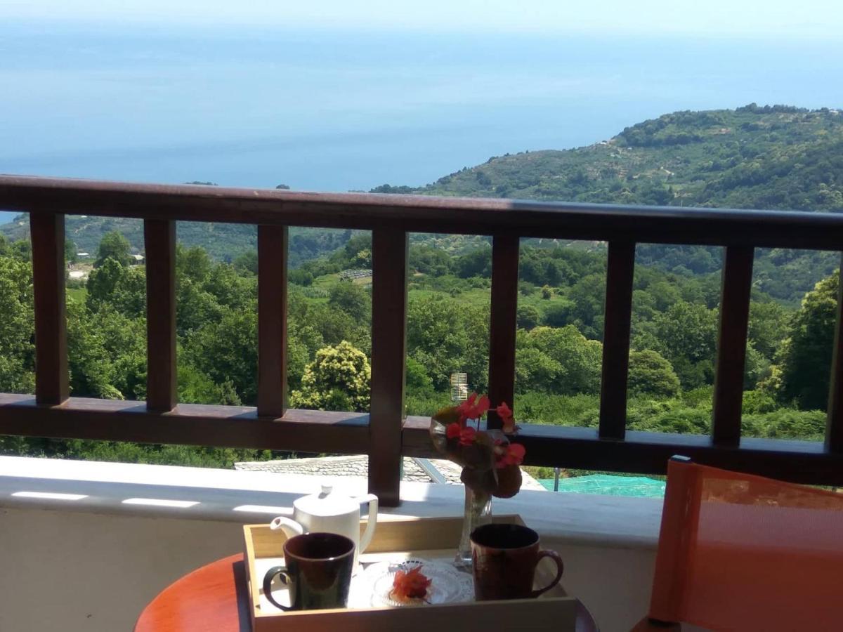 Guesthouse Papagiannopoulou Zagora Extérieur photo