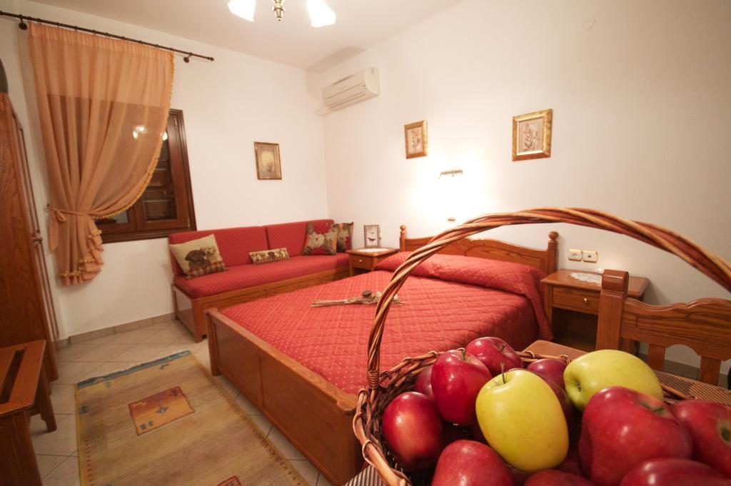 Guesthouse Papagiannopoulou Zagora Chambre photo