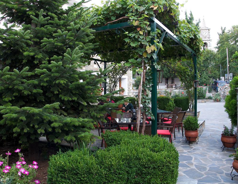Guesthouse Papagiannopoulou Zagora Extérieur photo
